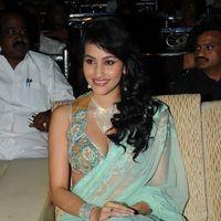 Anjali Lavania - Panja Audio Release - Pictures | Picture 128233